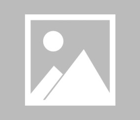 大发官方-【夜读】李霄鹏有较大的可能性主动提出辞职